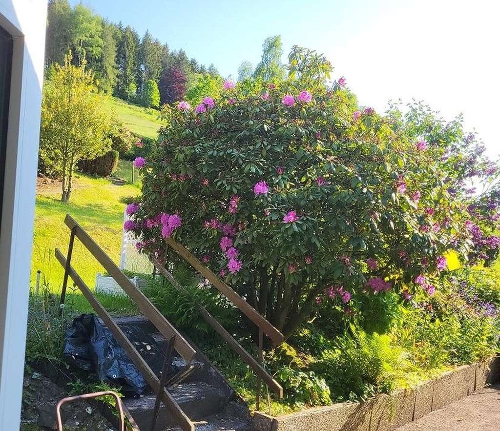 Immobilie in Langelsheim - Einfamilienhaus - Bild 4