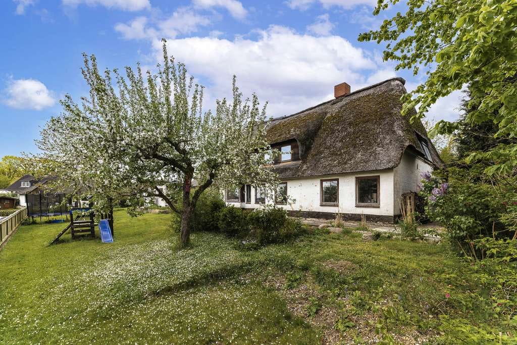Immobilie in Oldersbek - Historisches Reetdachanwesen mit zwei neu entstandenen Ferienwohnungen - Bild 2