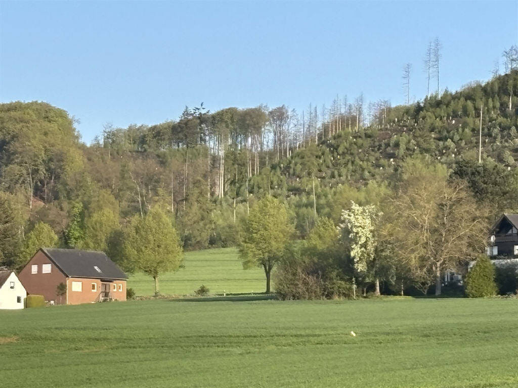 Immobilie in Hüllhorst - Großes Wohnhaus mit fantastischer Aussicht - Bild 0