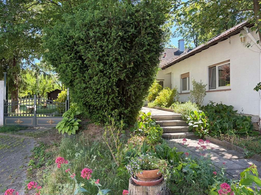 Immobilie in Stadecken-Elsheim - Exklusiver Bungalow mit parkähnlichem Grundstück und maximaler Privatsphäre - Bild 0