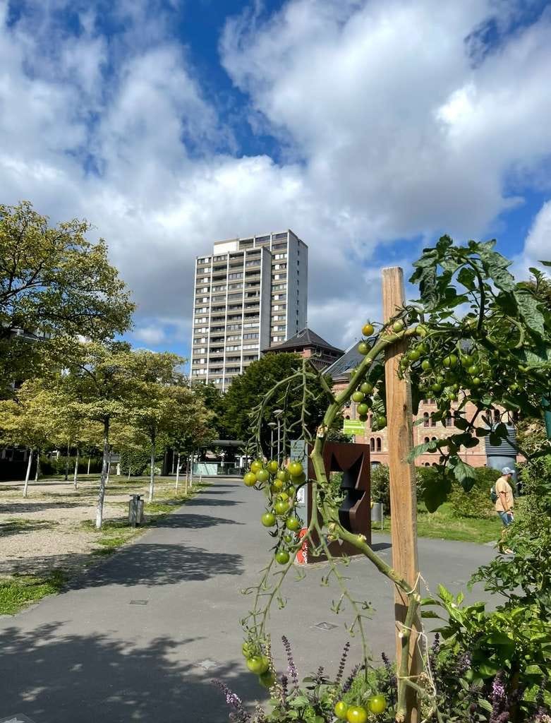Immobilie in Mainz - Mainz-Altstadt: Kompaktes 1,5-Zimmer-Apartment mit Aufzug und Stellplatz - Bild 0