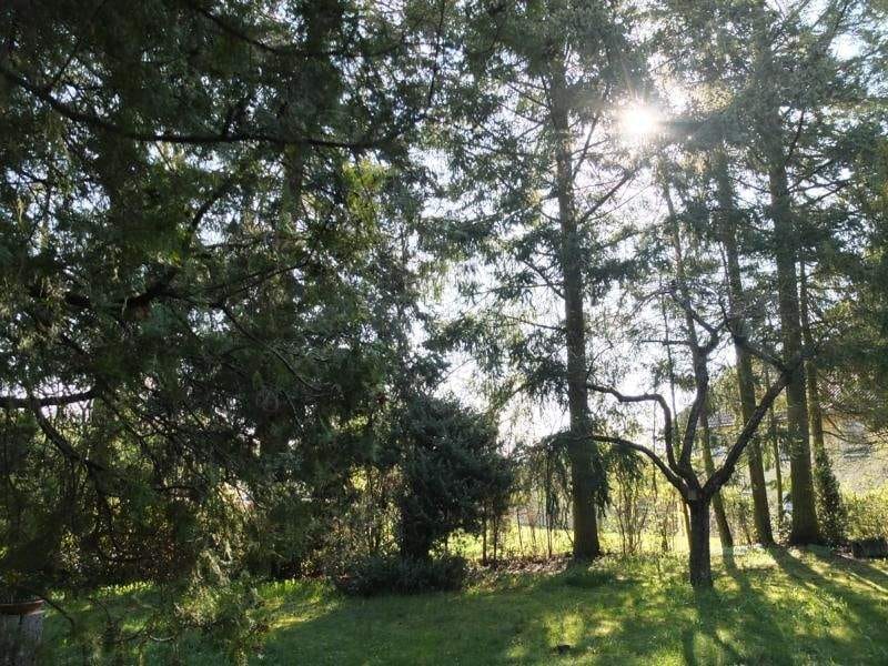 Immobilie in Thalmässing - kleine Villa aus der Gründerzeit - Bild 2