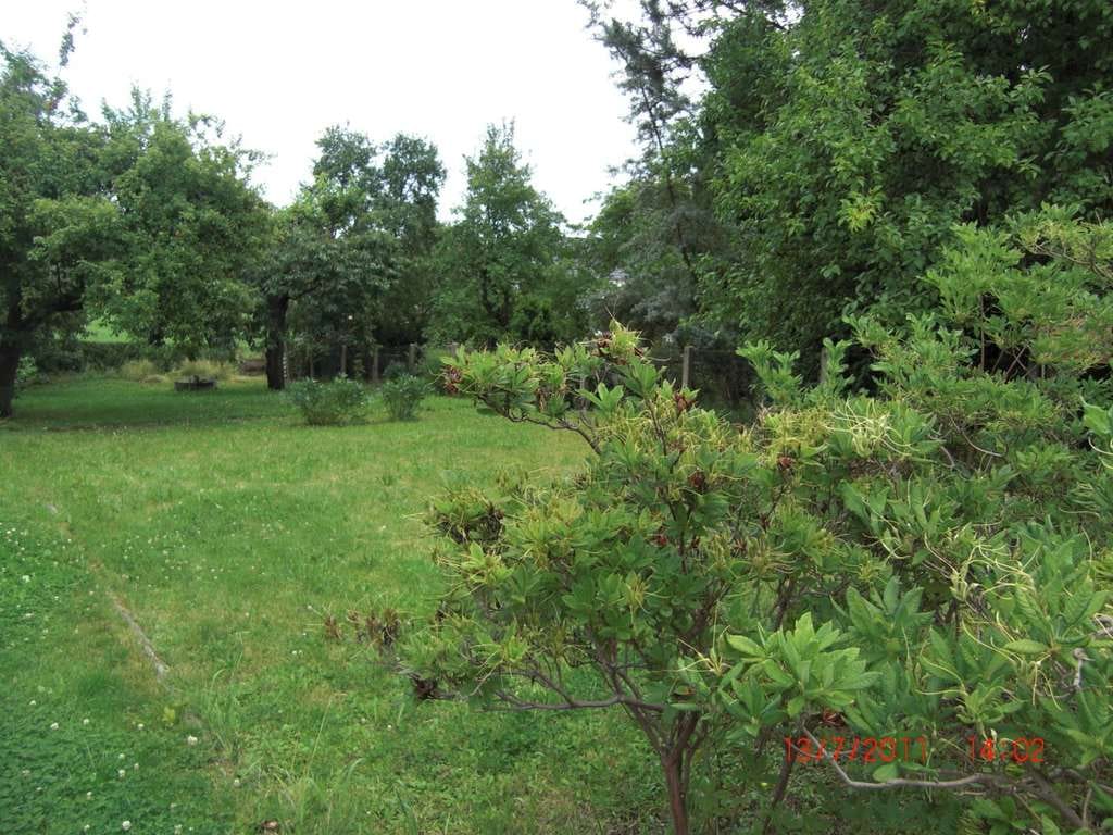 Immobilie in Oberlungwitz - VERLIEBEN SIE SICH SOFORT -  IN IHRE SCHICKE NEUE STADTVILLA! INFO-TEL.: 1714863595 - Bild 1