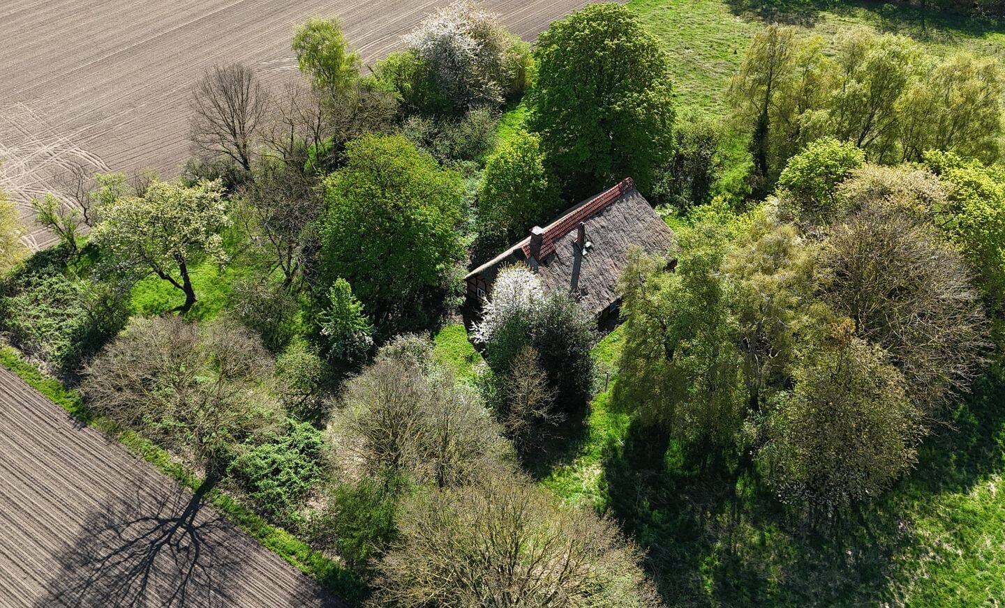 Immobilie in Bruchhausen-Vilsen - Charmantes Reetdachhaus mit Ausbaupotenzial in idyllischer Alleinlage - Bild 4