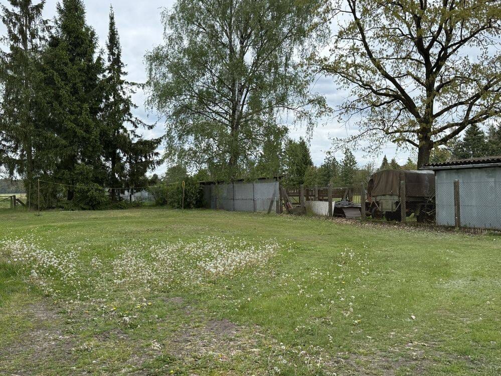 Immobilie in Neu Kaliß - Viel Platz für Familie und Kapitalanlage: Haus mit 2 Wohneinheiten und großem Grundstück - Bild 4