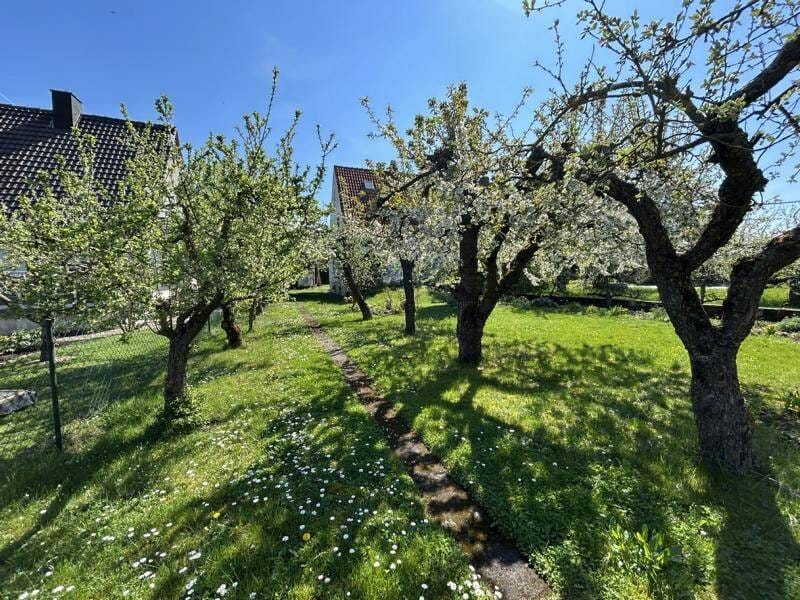 Immobilie in Kolitzheim - Platz für Ihre Zukunft -Gepflegte Doppelhaushälfte mit großem Garten- - Bild 4