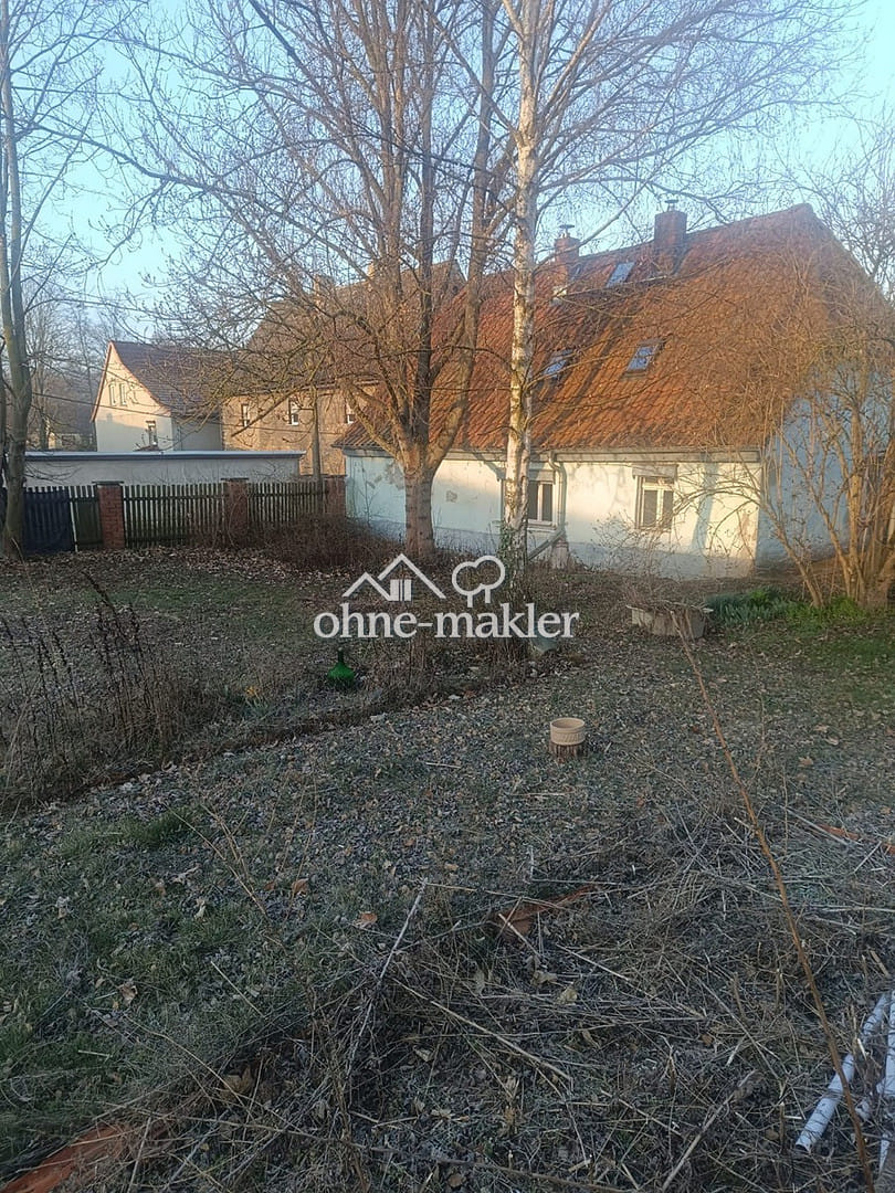 Immobilie in Aschersleben - Haus in Freckleben mit großem Garten zu verkaufen - Bild 1