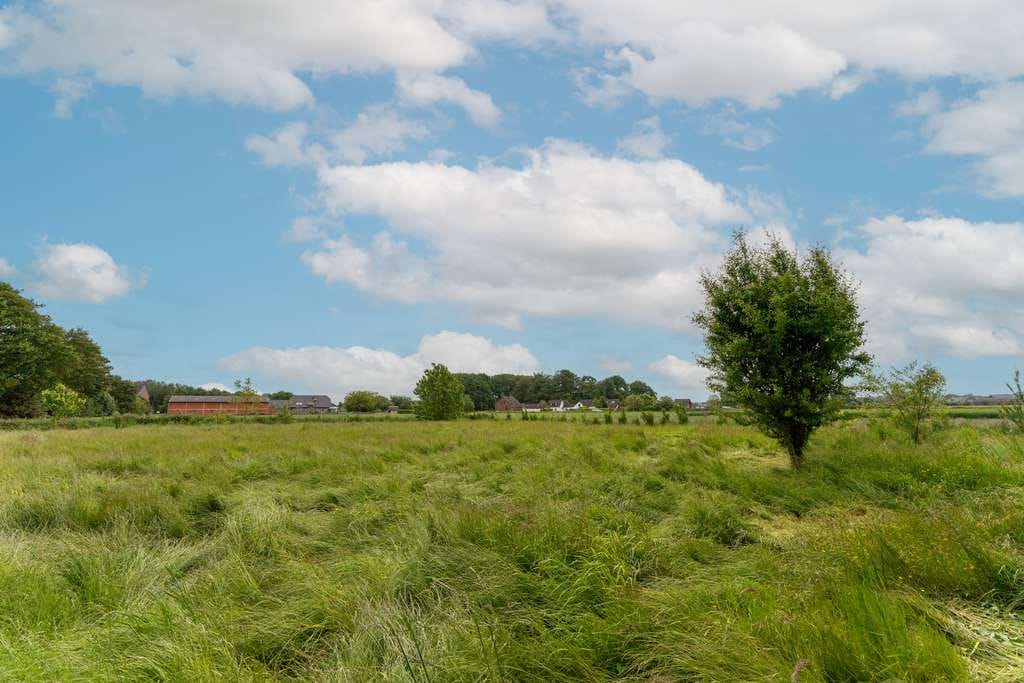 Immobilie in Kempen - Freistehendes Einfamilienhaus mit großem Grundstück und Feldblick – Projekt mit viel Potenzial - Bild 4
