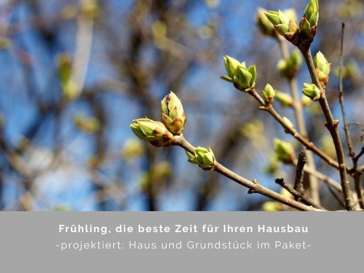 Immobilie in Wahrenholz - Neubau mit m Alstertal. Rarität! - Bild 0