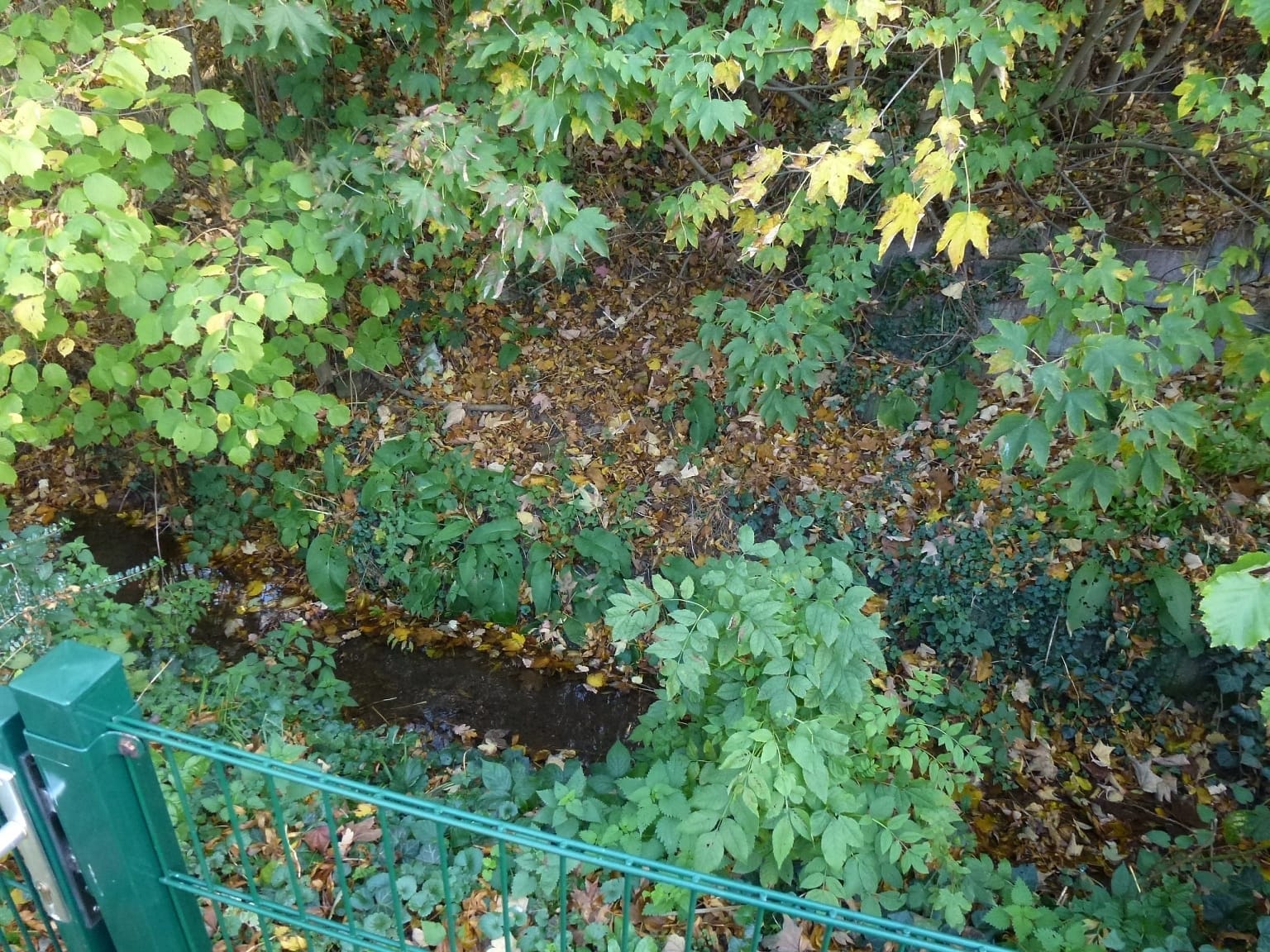 Immobilie in Fröndenberg/Ruhr - VERKAUFT: Ruhig gelegenes Raumwunder: Mehr Platz, als Sie glauben! - Bild 4