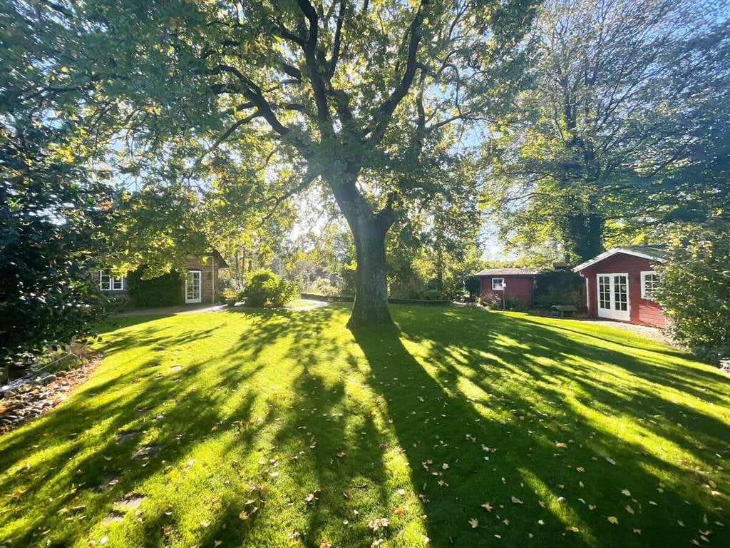 Immobilie in Risum-Lindholm - Reetdachkate mit historischem Flair & Gartenidylle vereint - Bild 3