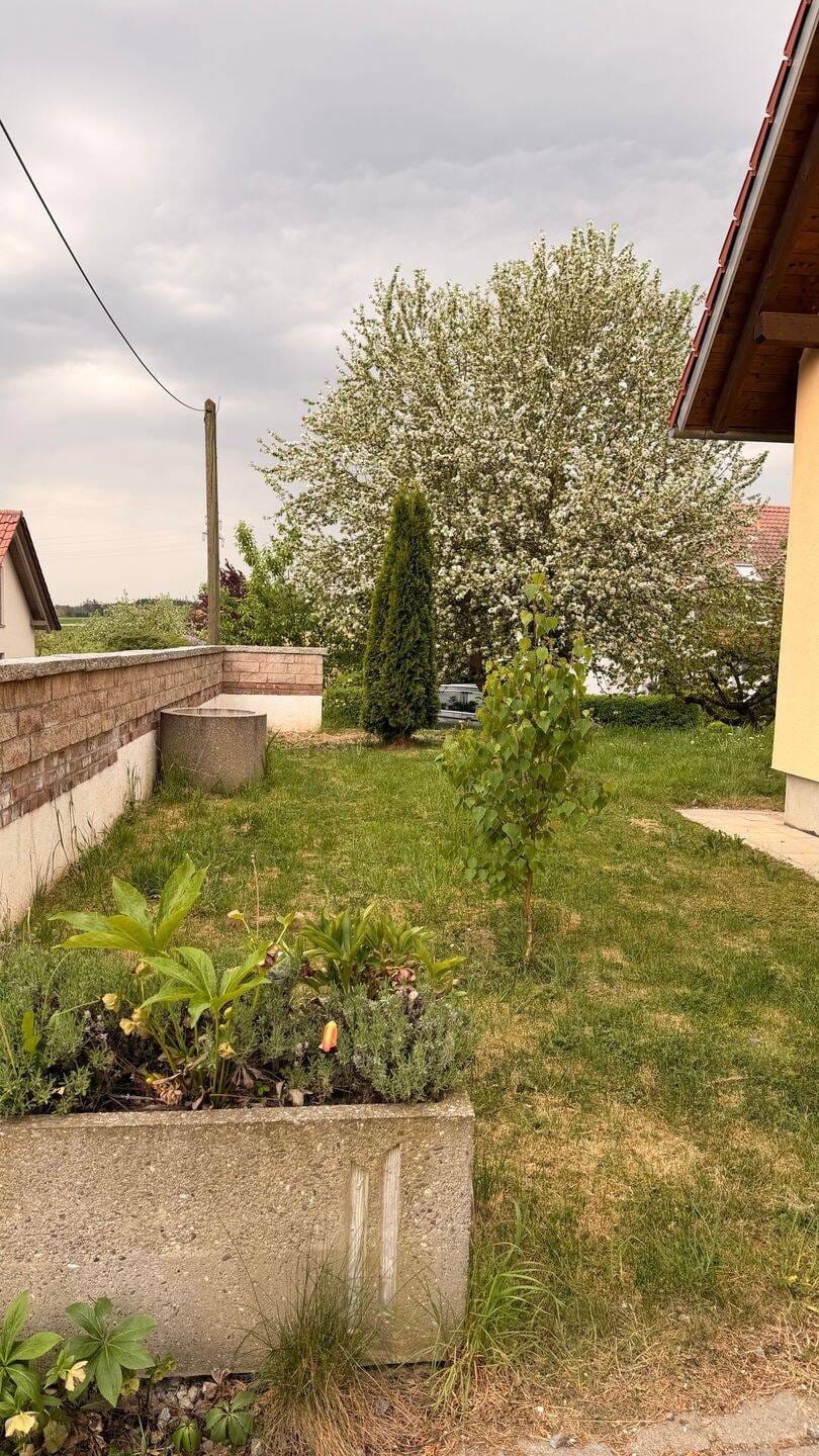 Immobilie in Steinkirchen - Einfamilienhaus mit Garten und Ausbaupotential - Bild 1