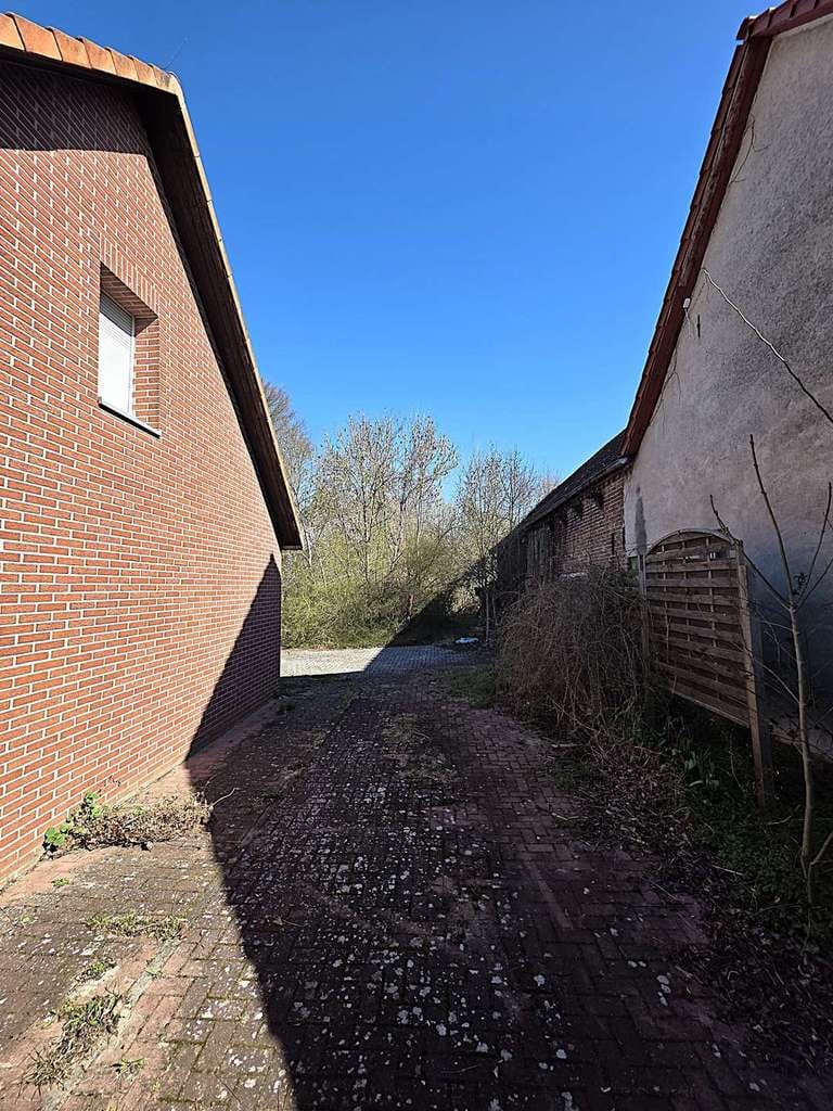 Immobilie in Bad Freienwalde (Oder) - Großzügiges Anwesen im Oderbruch – Einfamilienhaus mit Nebengelass und 4.182 m² Grundstück - Bild 2