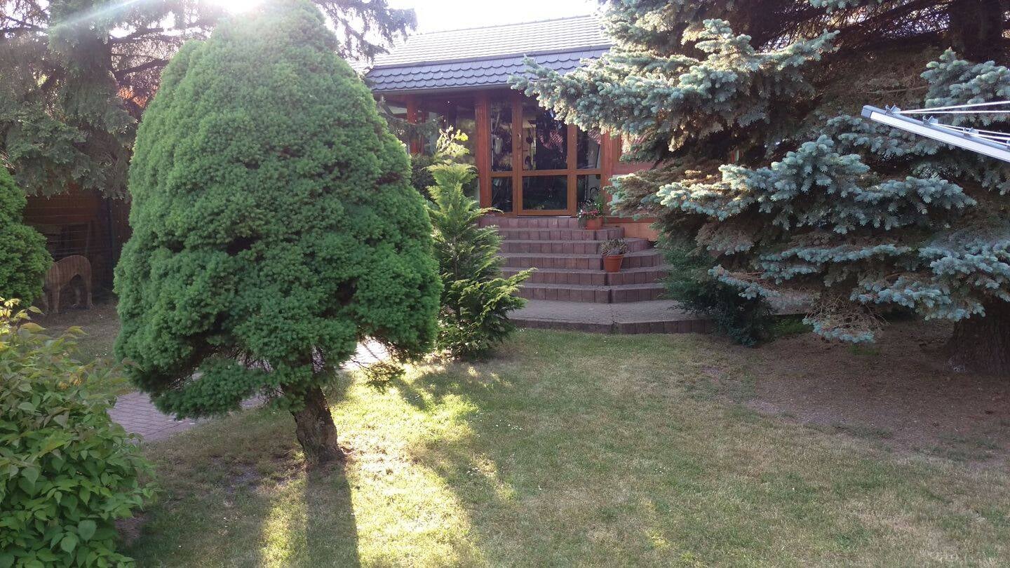 Immobilie in Georgenthal - Bungalow / Ferienhaus / Einfamilienhaus komplett saniert in Traumlage! Sehr ruhig am Wald gelegen! mit Kamin und Wintergarten! - Bild 3