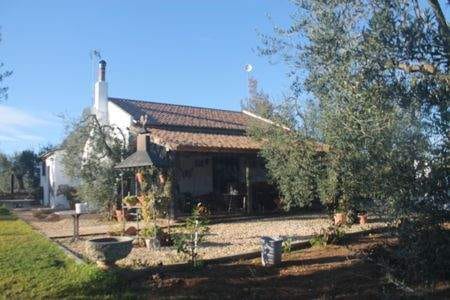 Immobilie in Engelschoff - Rustikale Finca mit Pool, Stadtstrom und grossen Olivenhain 20 Minuten vom Strand und Yachthafen - Bild 3