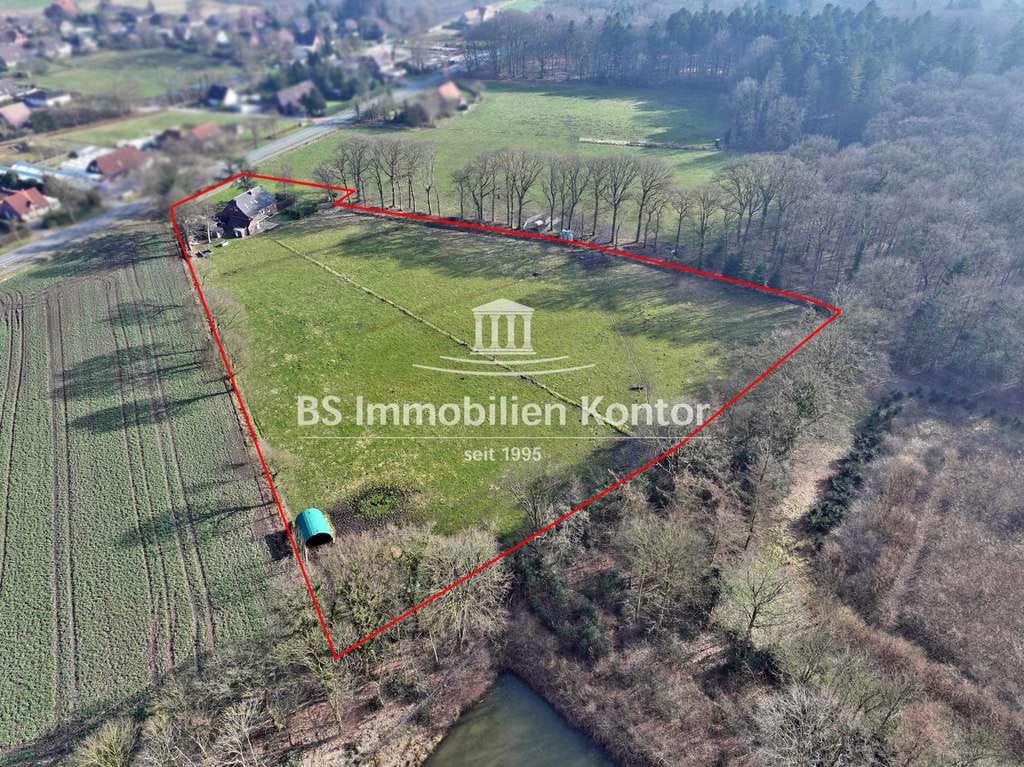 Immobilie in Stedesdorf - Esens! Einfamilienhaus auf einem 18.000qm gr. Grundstück! - Bild 3