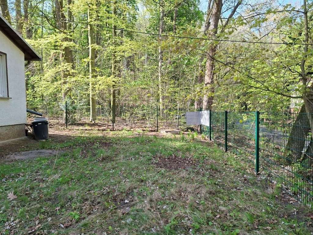 Immobilie in Oppurg - Idyllisch gelegenes Wochenendgrundstück mit Bungalow am Waldrand - Bild 3