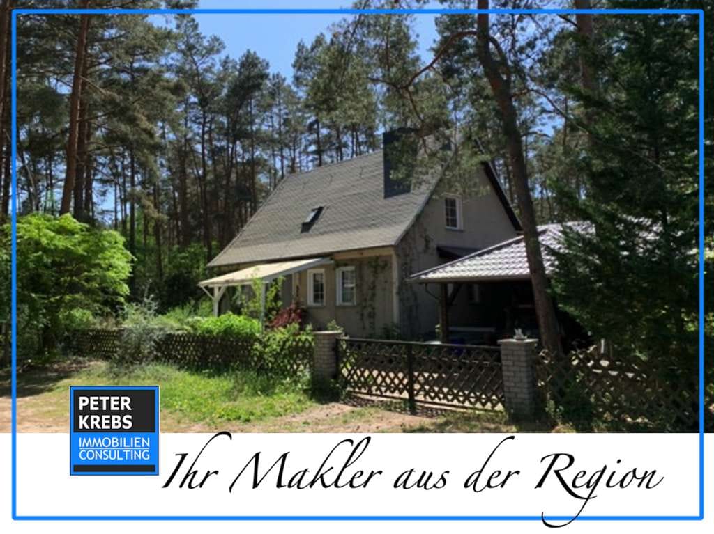 Immobilie in Borkheide - Großes Einfamilienhaus in natürlicher, idyllischer Lage - Bild 0