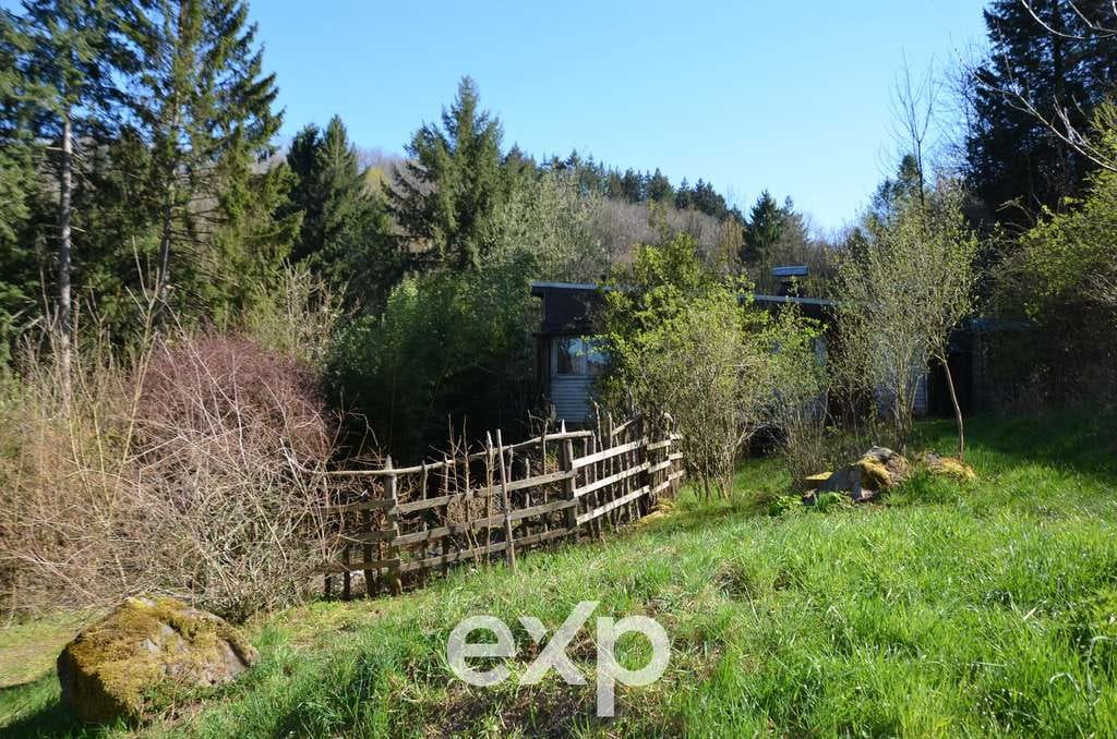 Immobilie in Falkenstein/Vogtland - Hat Dein Hund Dir schon gesagt, dass er ein Wochenendhaus in der Natur will? - Bild 1