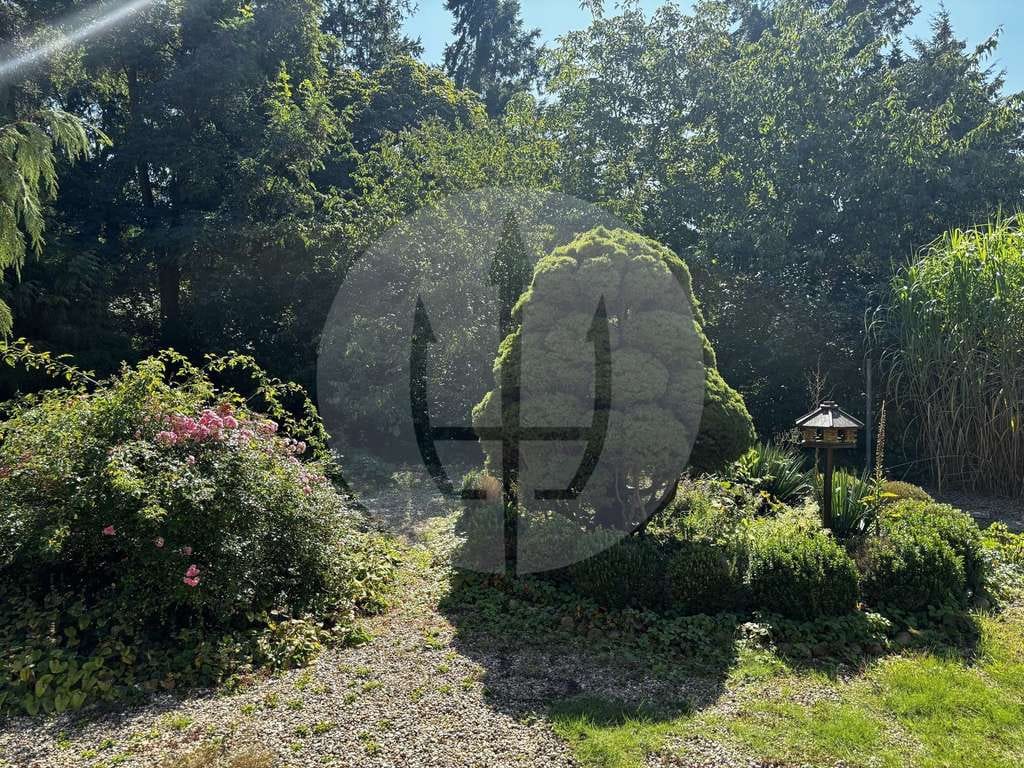 Immobilie in Bismark (Altmark) - Für Gärtner, Golfer & Genießer: Weite, Wald & Wohnkomfort - Bild 0