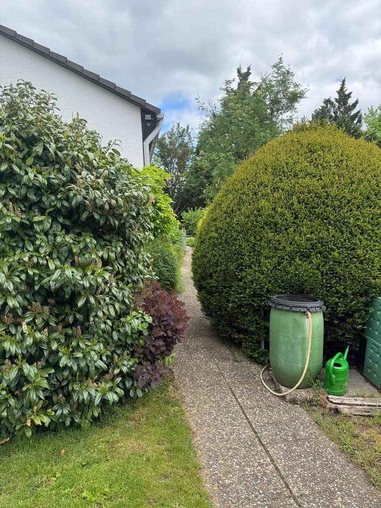 Immobilie in Monsheim - Sonniges Einfamilienhaus auf großem Grundstück – bereit für Ihre Ideen - Bild 2
