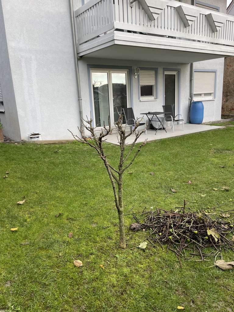 Immobilie in Kirchardt - Mehrfamilienhaus (3 Wohnungen), - Bild 3