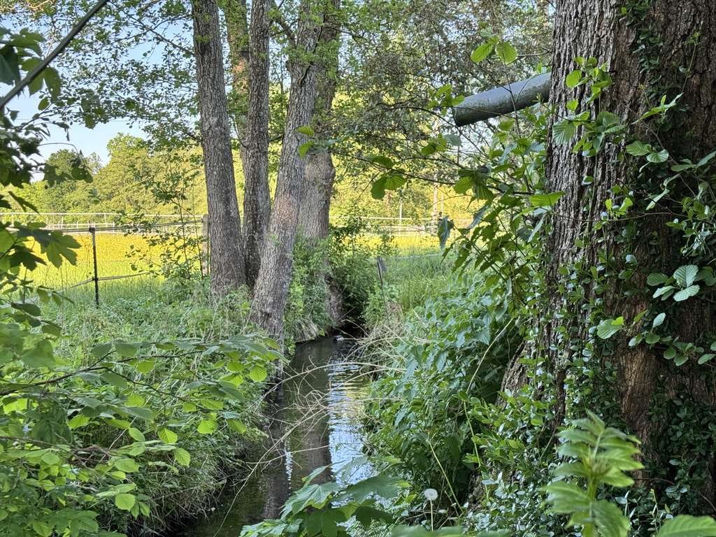 Immobilie in Haiming - Natur und Ruhe pur – Idyllisches Anwesen mit Fischteich, Bachlauf und großem Gartenparadies - Bild 4