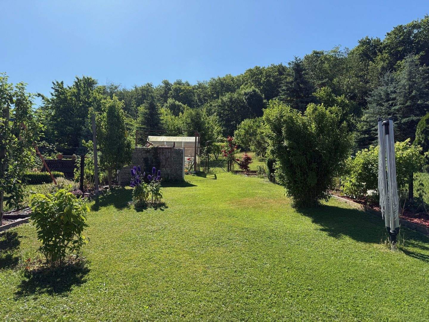 Immobilie in Sonnenstein - Familienfreundliches Einfamilienhaus mit pflegeleichtem Garten - Bild 3
