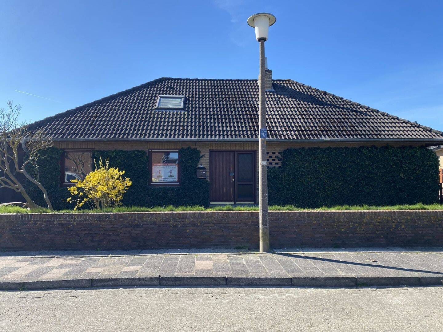 Immobilie in Borkum - Einfamilienhaus im Bungalowstil mit Einliegerwohnung auf großem Grundstück - Bild 1