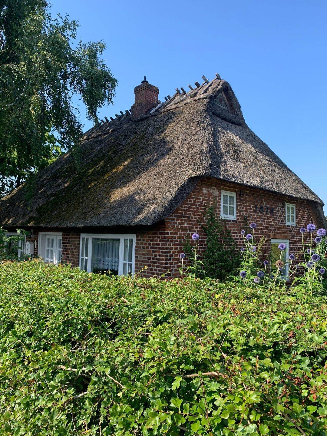 Immobilie in Steinbergkirche - Steinbergkirche b. Flensburg - Die knuddelige Reetdachkate - Bild 0