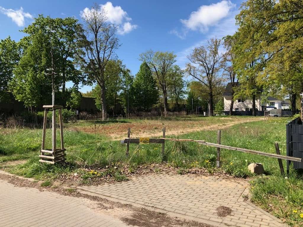Immobilie in Dallgow-Döberitz - Neubau - DHH in Dallgow mit Bauzeitgarantie - Bild 3