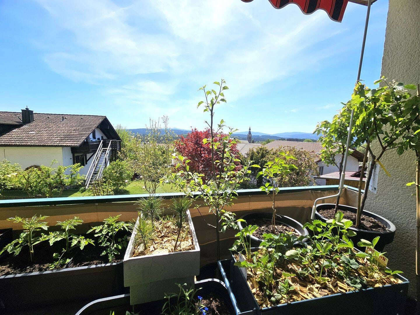 Immobilie in Böbrach - Traumhafte Aussicht & modernes Wohnen im Bayerischen Wald 4-Zimmerwohnung mit Südwestbalkon - Bild 1
