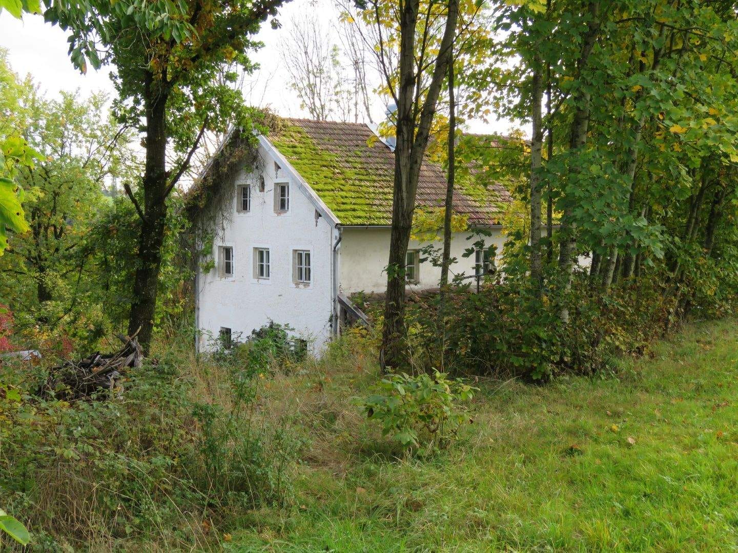 Immobilie in Neukirchen vorm Wald - Anwesen in fast Alleinlage auf einer Anhöhe mit Fernsicht Nähe Hutthurm - Bild 0