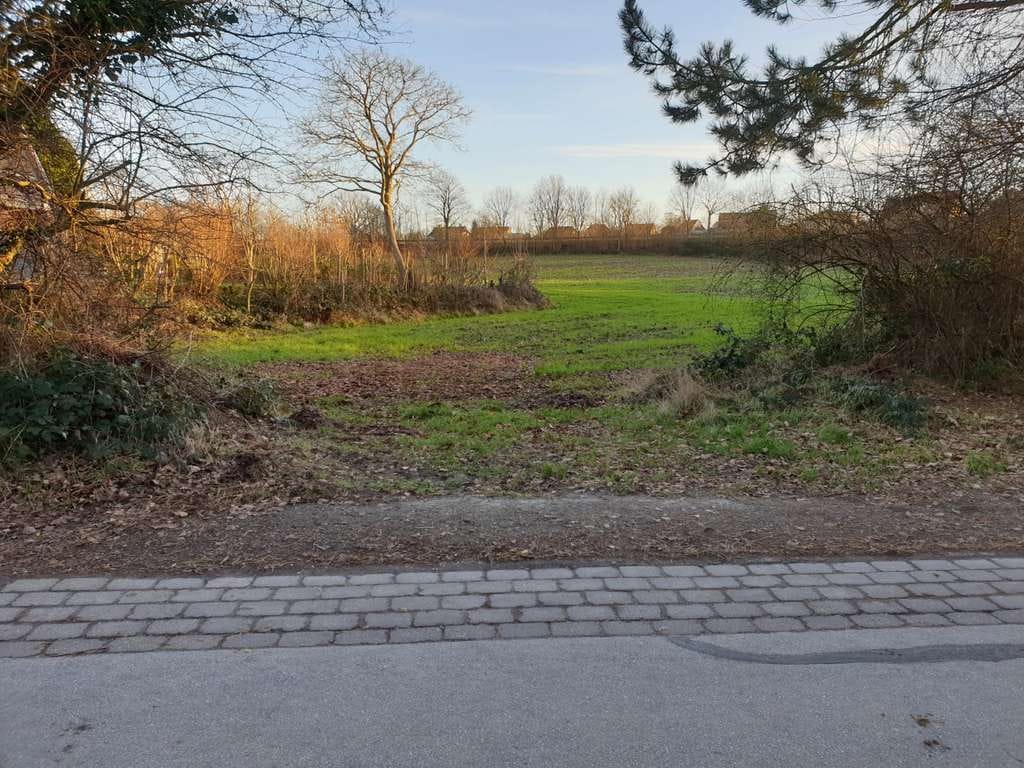 Immobilie in Langballig - Modernes KFW 40 ScanHaus  in Langballig mit Ostseenähe!! - Bild 3