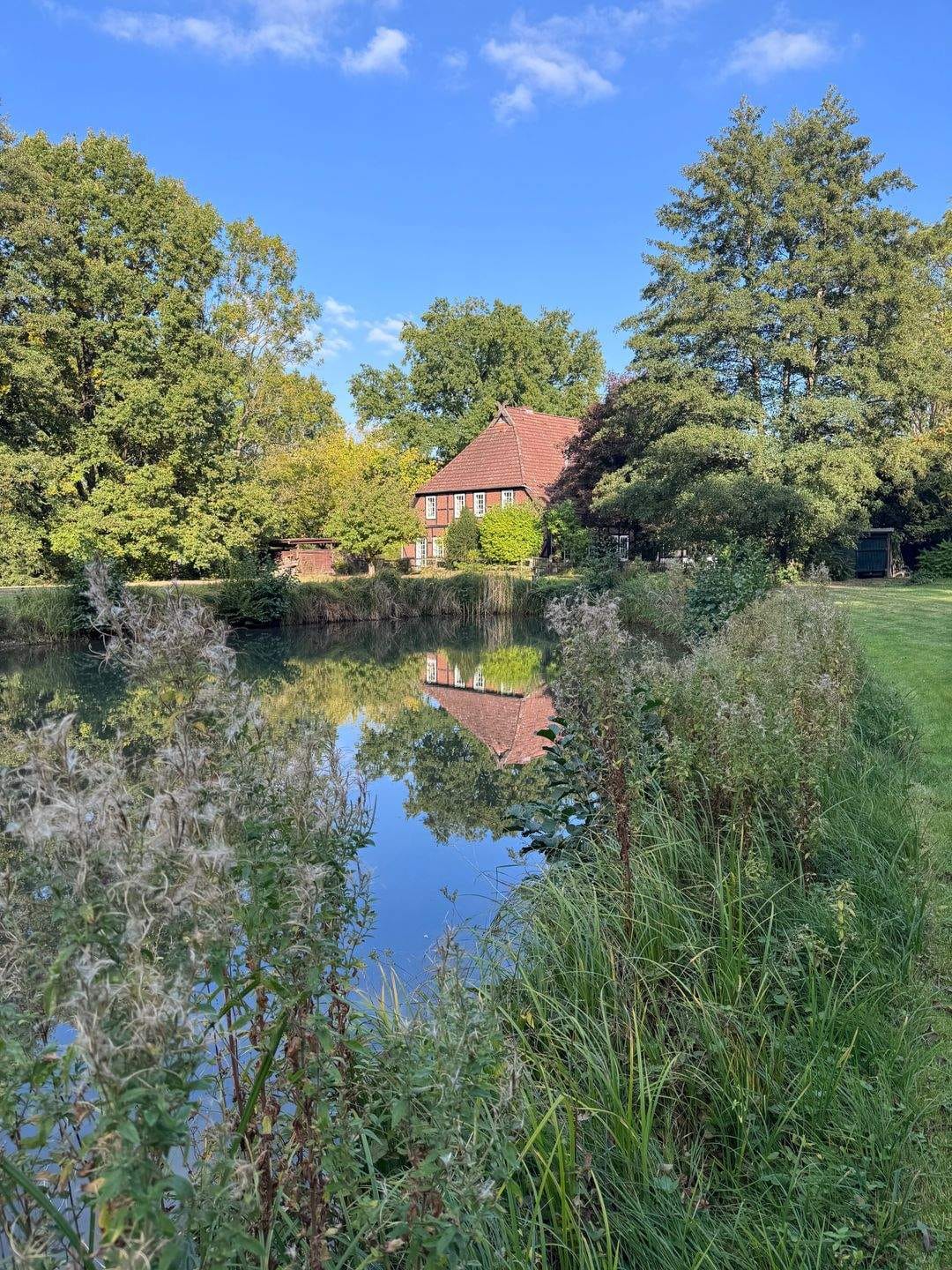Immobilie in Bad Bevensen - Idylle pur: Landhaus mit eigenem See auf traumhaftem Naturgrundstück - Bild 4