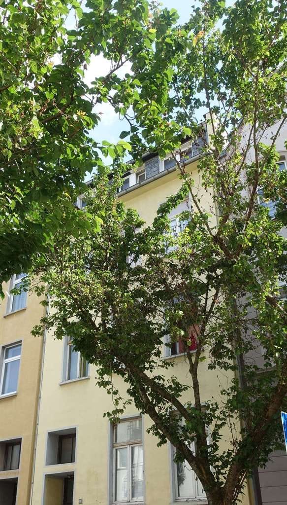 Immobilie in Bonn - Mehrfamilienhaus in der beliebten Bonner Altstadt ! Ideal für Kapitalanleger ! - Bild 1
