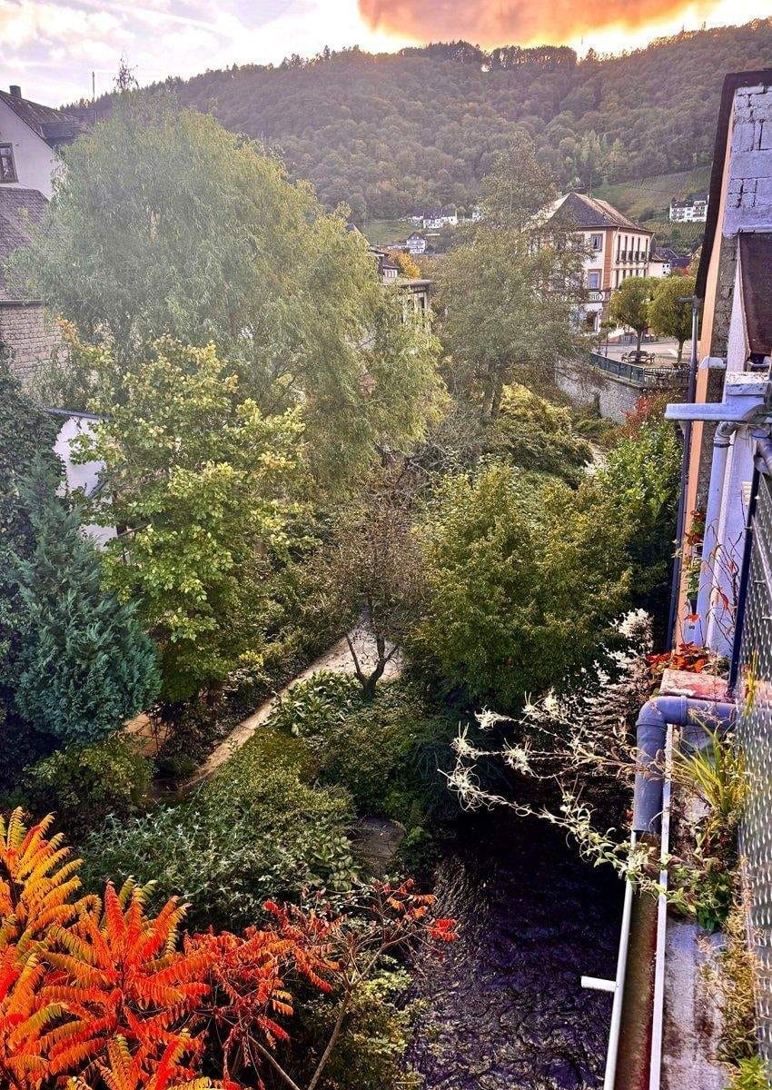 Immobilie in Enkirch - Frühjahres-Angebot: Wohnhaus mit 3 Wohnungen  (Ferienwohnungen) an der Mosel - Bild 2