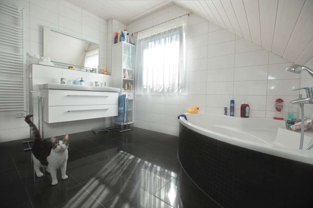 Immobilie in Heidesee - NEUES BAUGRUNDSTÜCK VON PRIVAT ,RUFT AN !!!!! 0179 1149244 - Bild 3