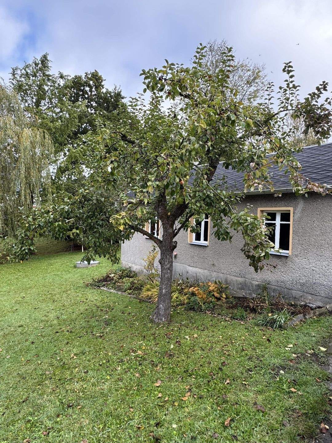 Immobilie in Oberschöna - Klein, Fein, Mein - Bild 4