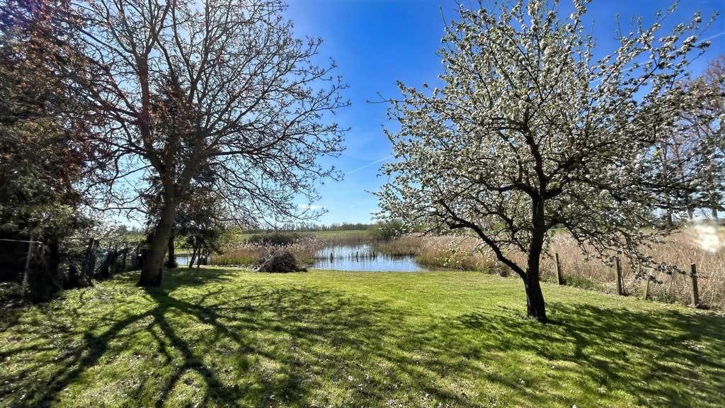 Immobilie in Dassow - Natur- und Wasseridylle mit Potenzial - Bild 4