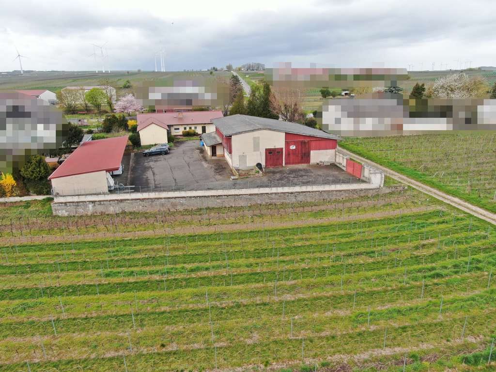 Immobilie in Gundheim - Großes Entwicklungspotenzial in Feldrandlage - Bild 2