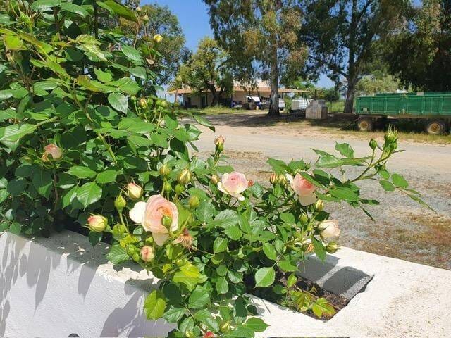 Immobilie in Engelschoff - Andalusien, Spain - Kleinod der Extraklasse, Leben mit Pferden wo andere Urlaub machen - Bild 1