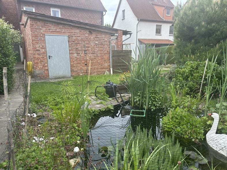 Immobilie in Deensen - Mehrfamilienhaus in Deensen - Bild 1