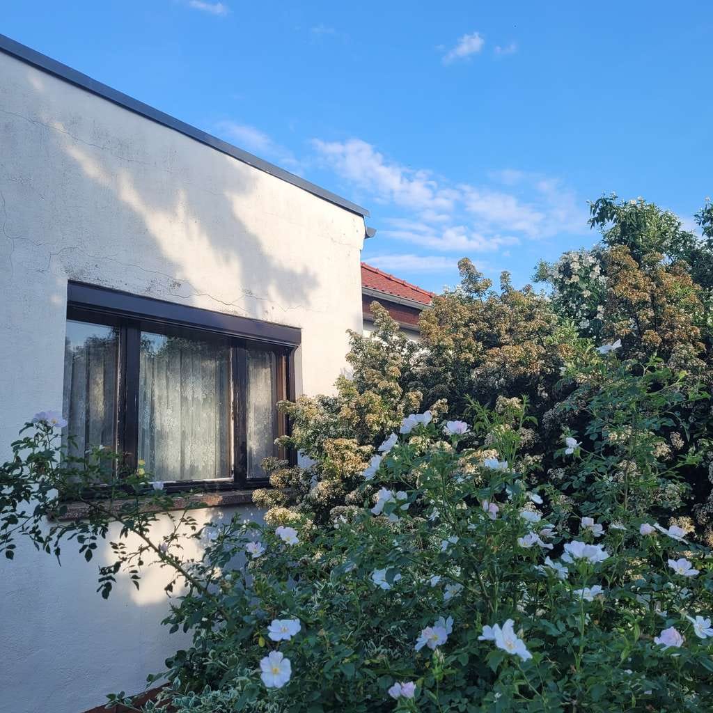 Immobilie in Niedere Börde - EFH ca.200m²/933m² Samswegen nahe Waldgebiet VB - Bild 3