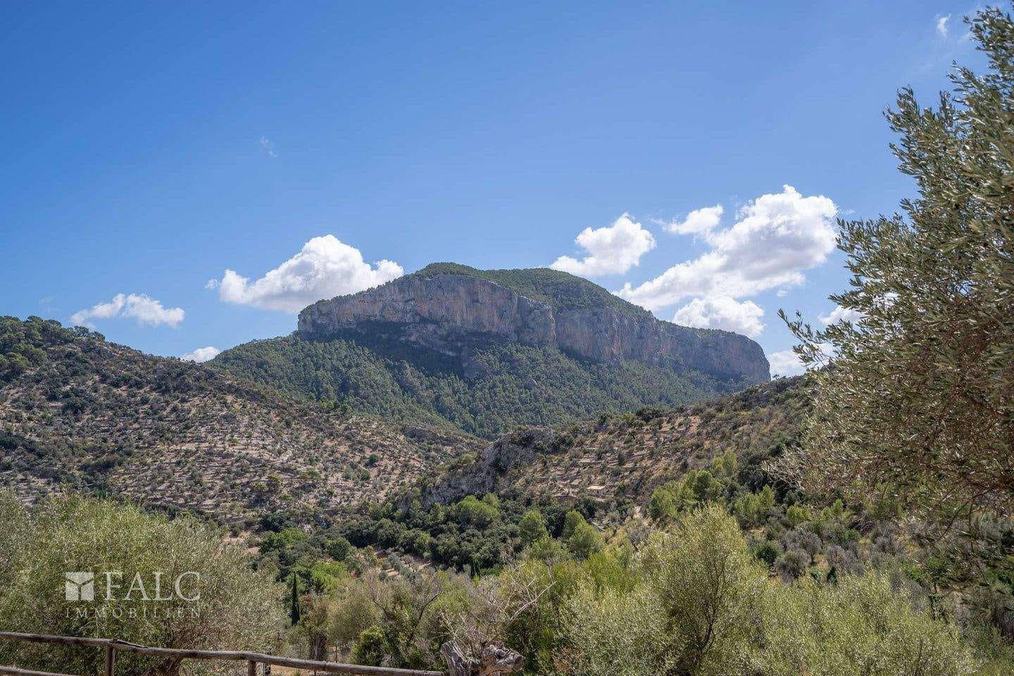 Immobilie in Lehesten - Traumhafte Finca in der Serra de Tramuntana mit spektakulärem Blick - Bild 4