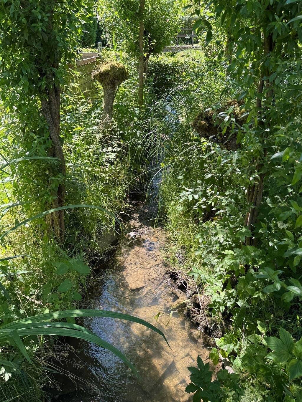Immobilie in Schmallenberg - Gleidorf! Beste Lage! Am Wald mit Bach! EFH plus Einliegerwohnung! - Bild 4