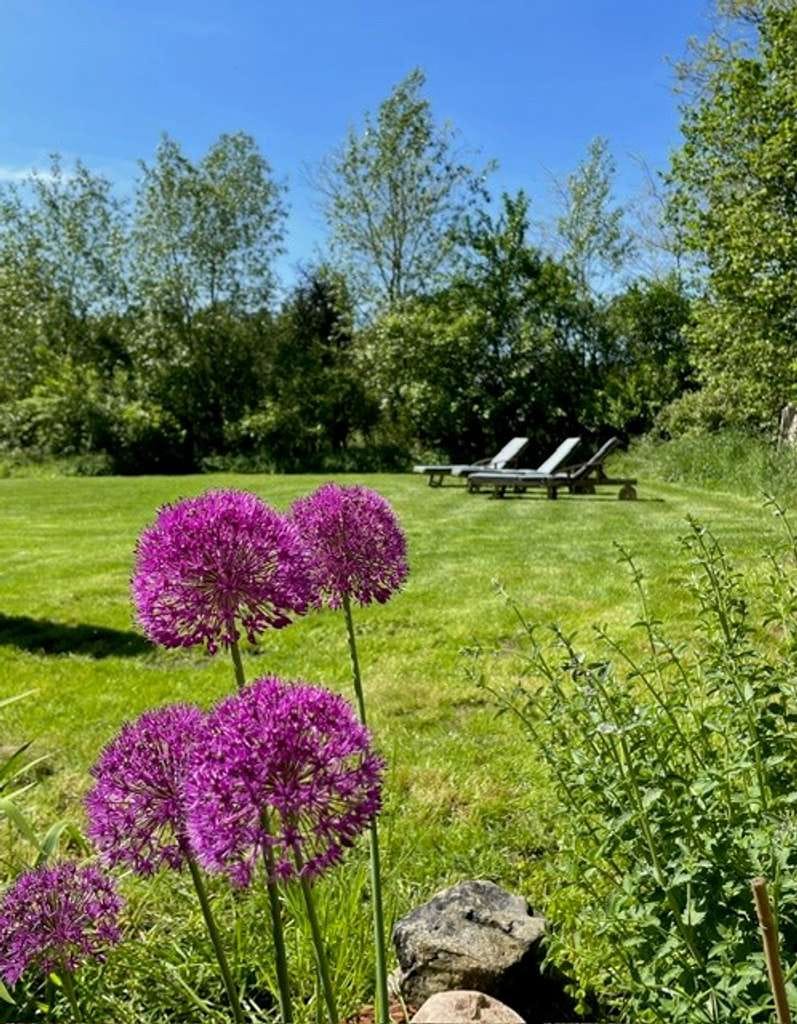 Immobilie in Grambow - Saniertes Landhaus mit 4.500 m² Grundstück, Sauna & 48.000 € Einnahmen p.a. - Bild 3