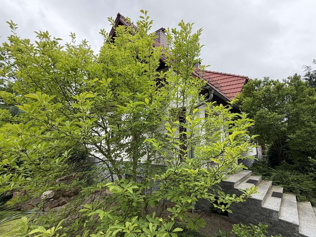 Immobilie in Colditz - Großzügige Doppelhaushälfte mit Pool, Teich, Garage & Nebengebäude auf ca. 1.000 m² Traumgrundstück - Bild 4