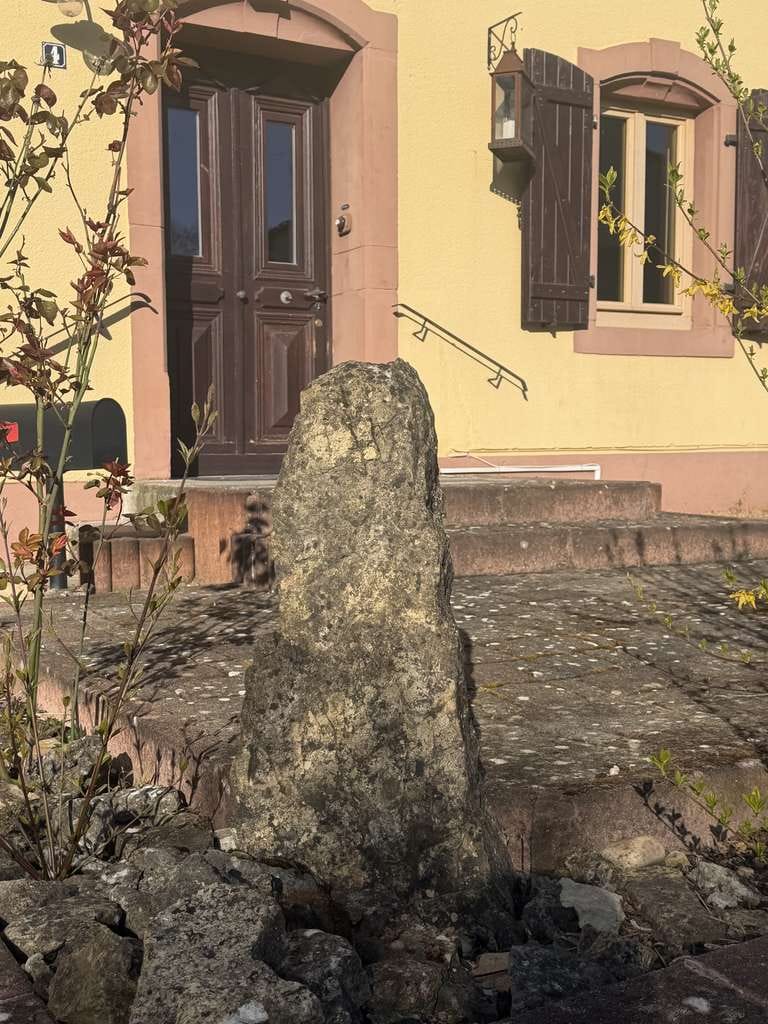 Immobilie in Rehlingen-Siersburg - Lothringer BAUERNHAUS mit Einliegerwohnung in 66780 OBERESCH top Restauriert/Renoviert ELW Niedrige - Bild 4