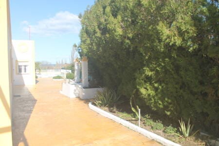 Immobilie in Mittelnkirchen - Haus Exklusiv Restaurierte Finca mit neuen Pool in Toplage, 20 Minuten zum Strand und Yachthafen. - Bild 3